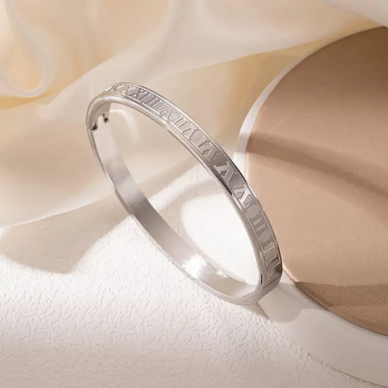 Wearsmartii Affordable Luxury Titanium Steel Bracelet