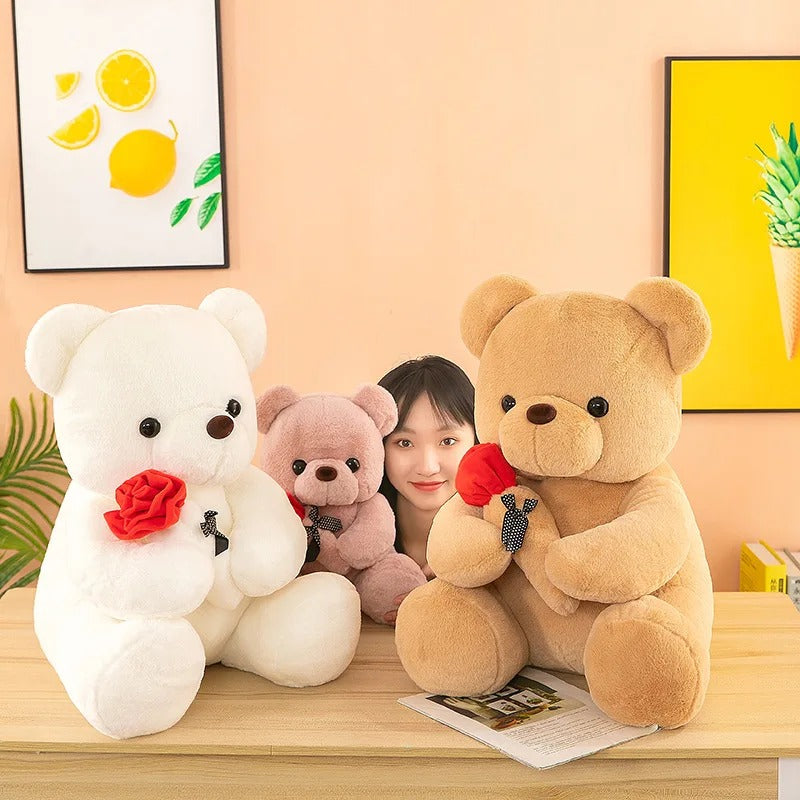 TEDDY BEAR VALENTINES GIFT