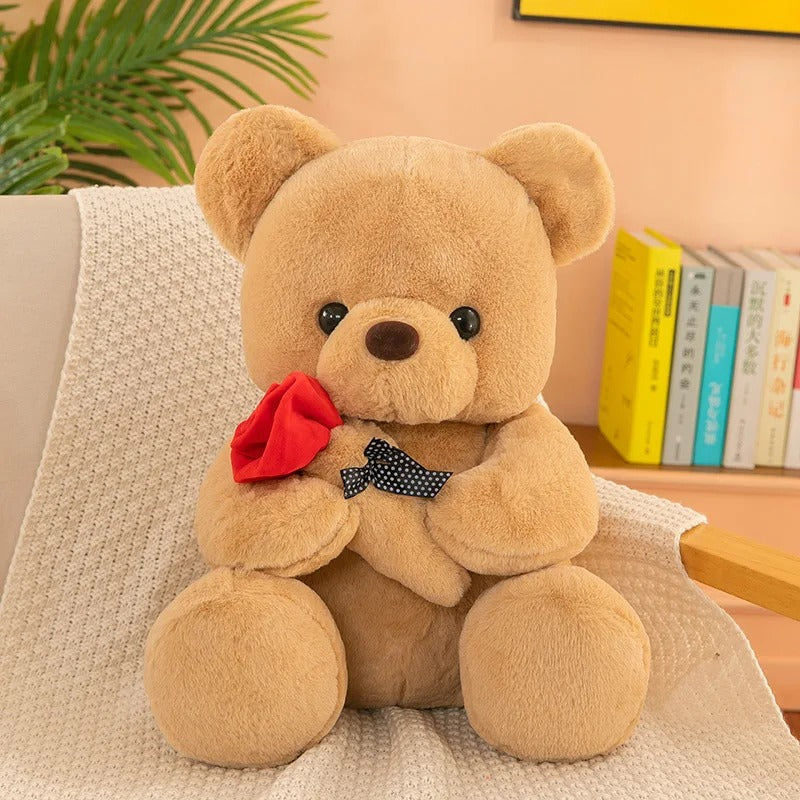 TEDDY BEAR VALENTINES GIFT